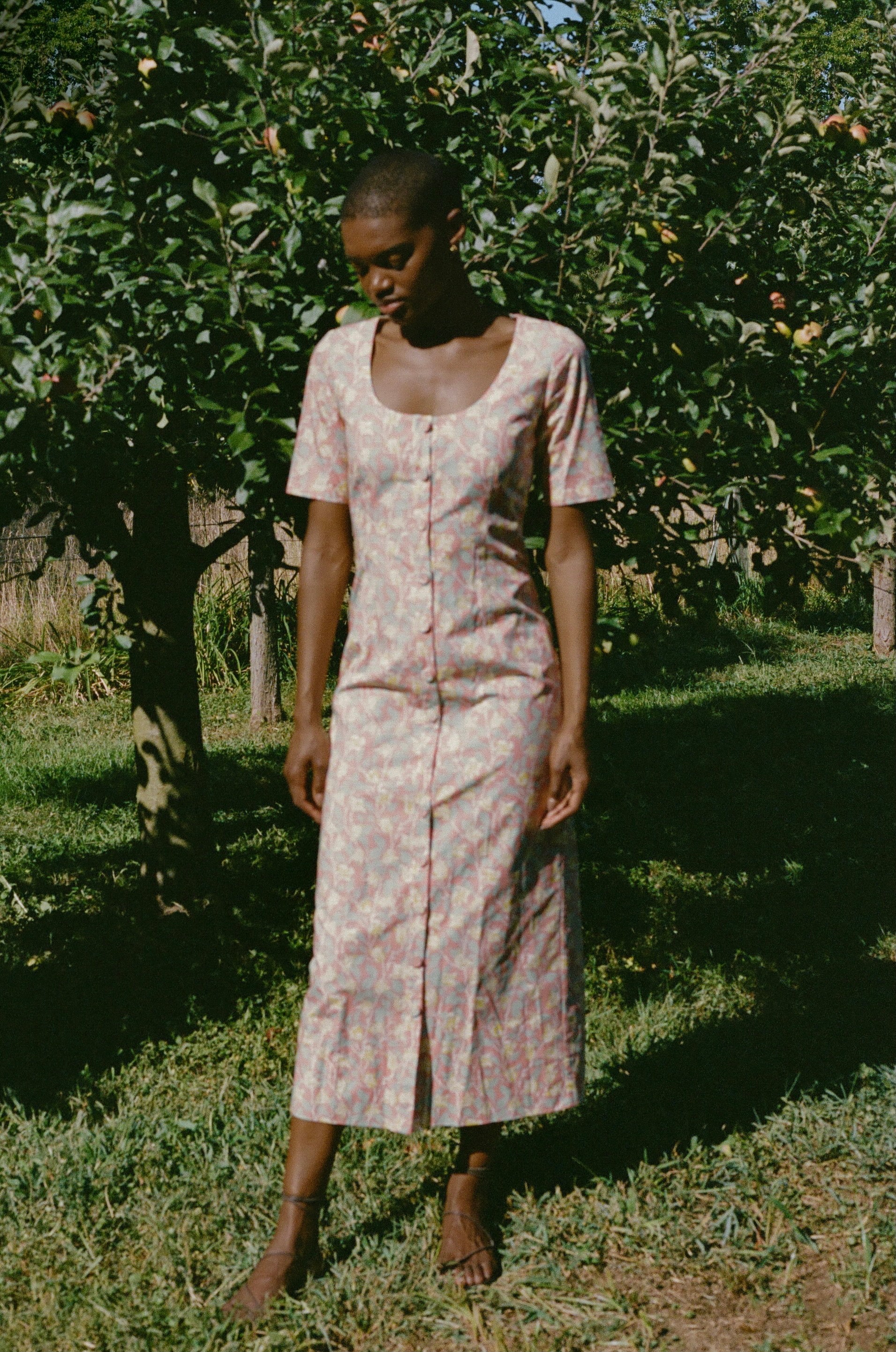 Mod Midi Dress in Coral Bougainvillea