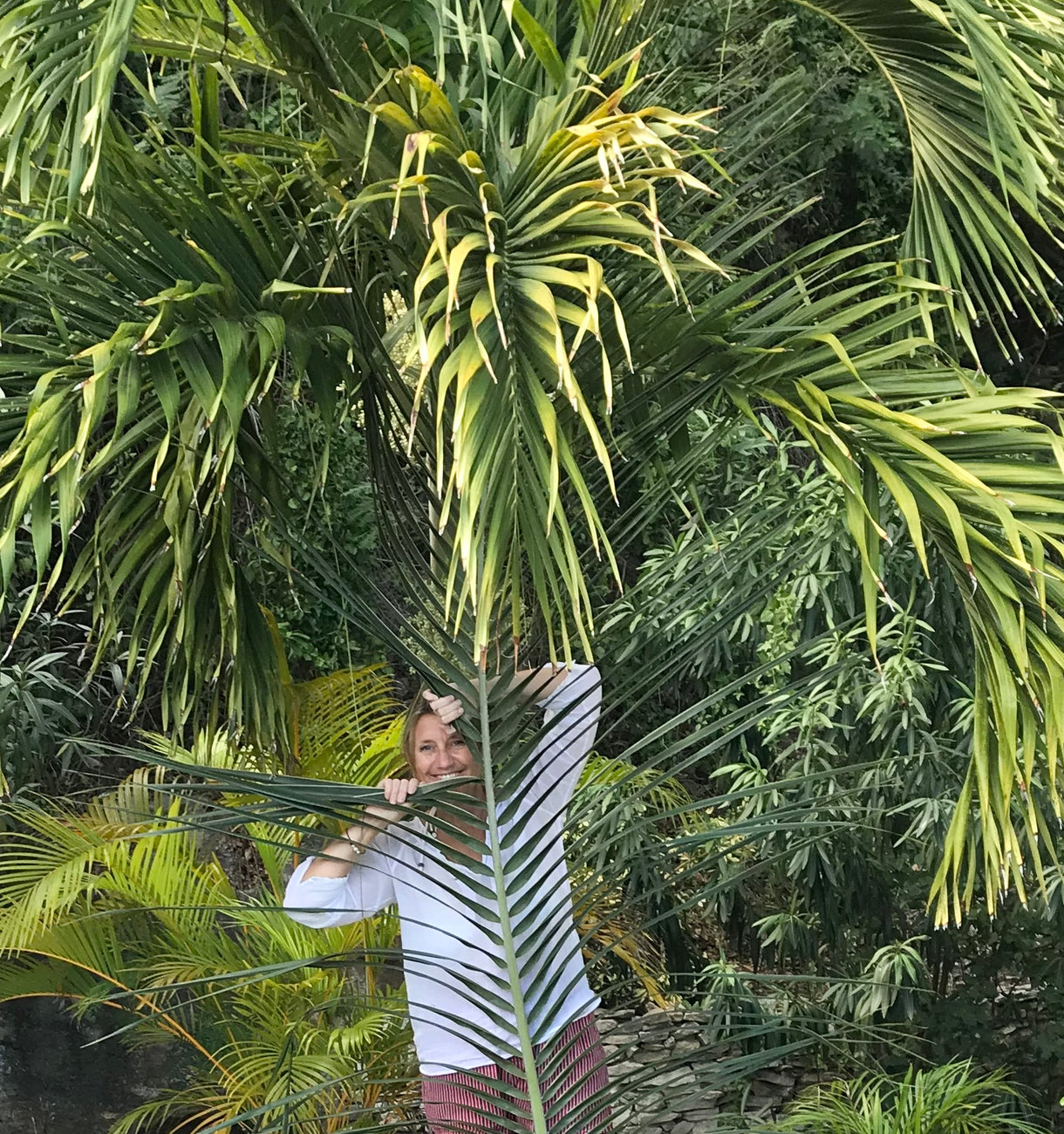 Sea Fan Woodcut in Baby Pink/Salmon