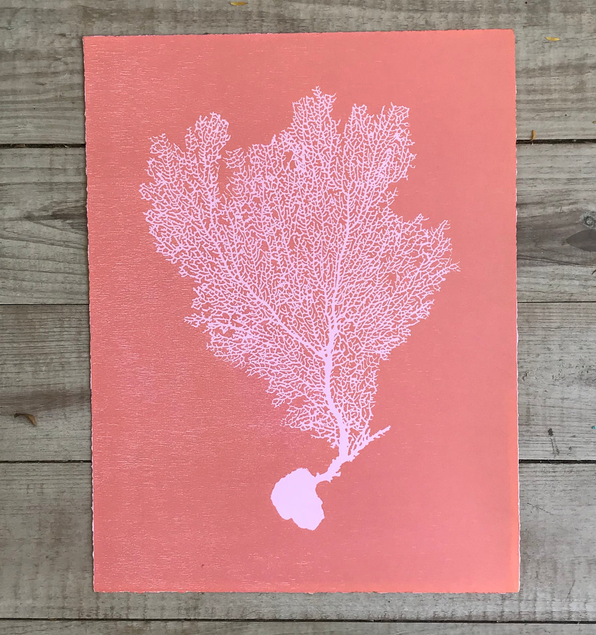 Sea Fan Woodcut in Baby Pink/Salmon