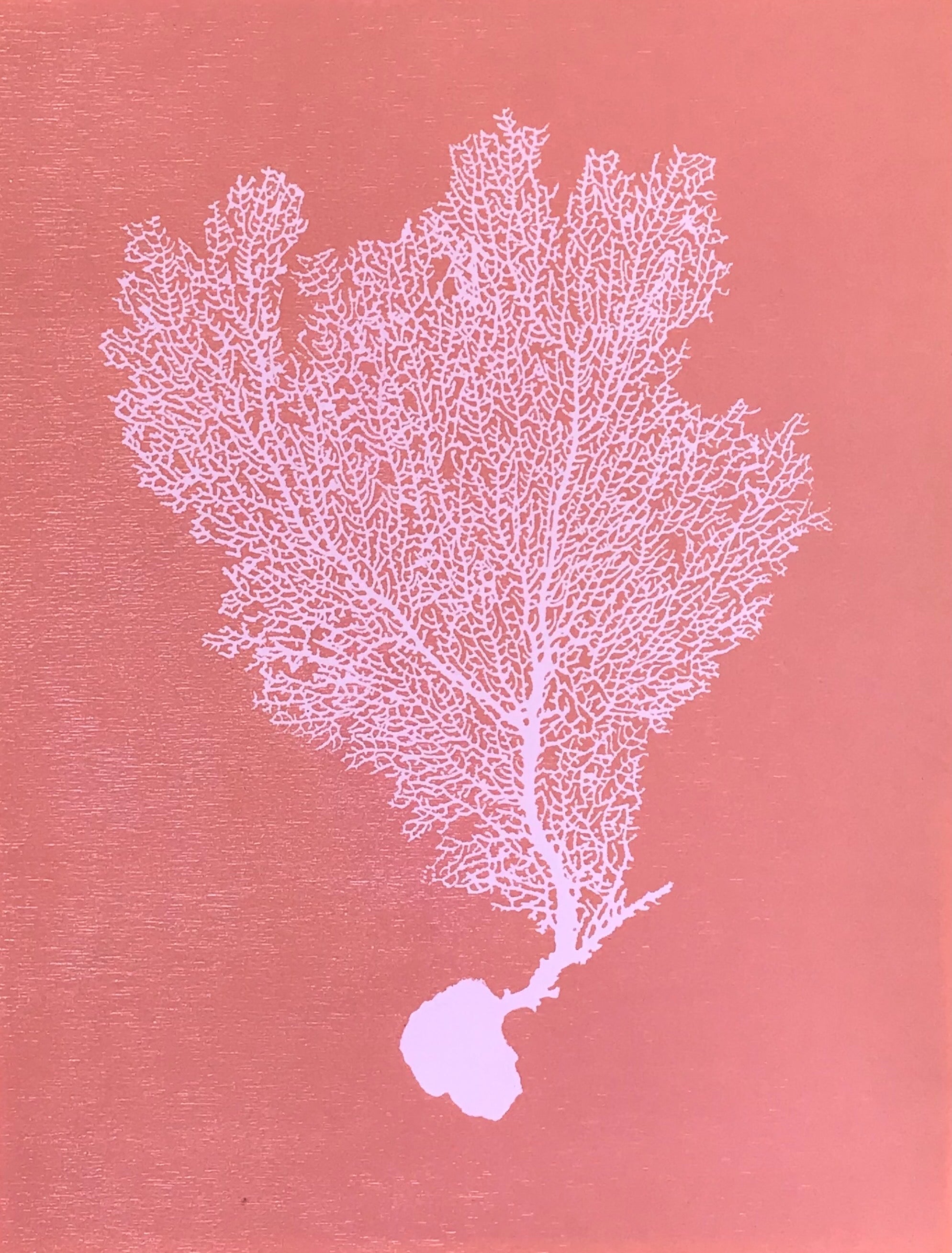 Sea Fan Woodcut in Baby Pink/Salmon