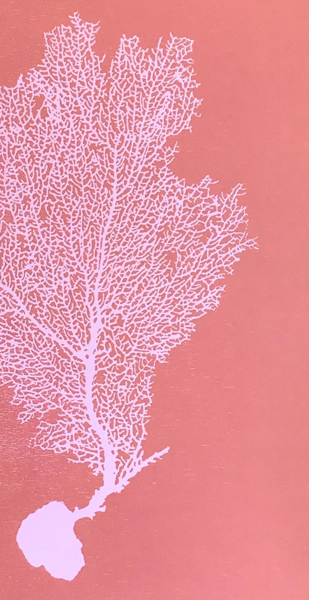 Sea Fan Woodcut in Baby Pink/Salmon