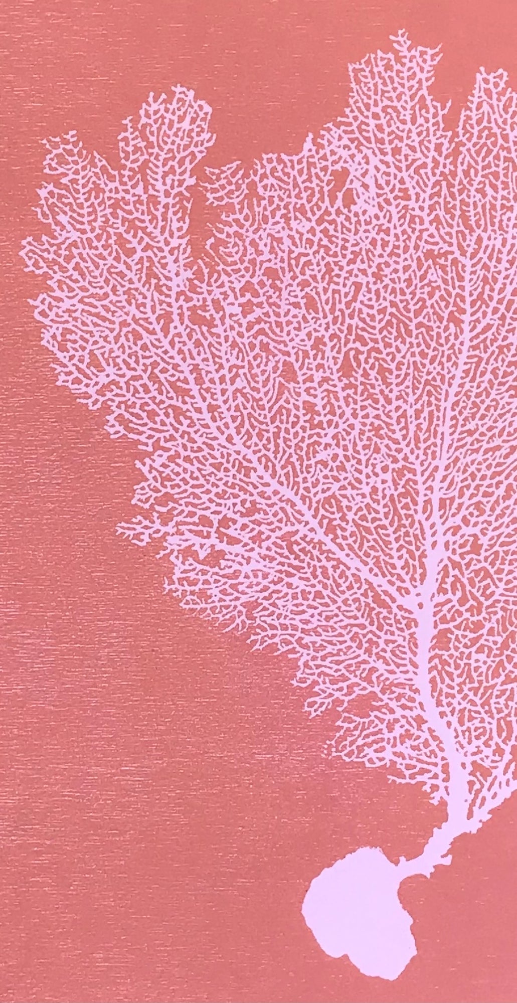 Sea Fan Woodcut in Baby Pink/Salmon