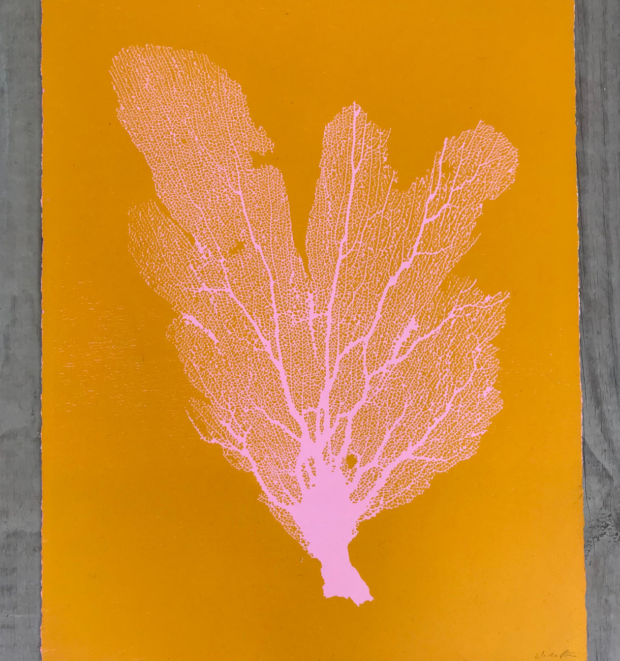 Sea Fan Woodcut in Baby Pink/Yolk