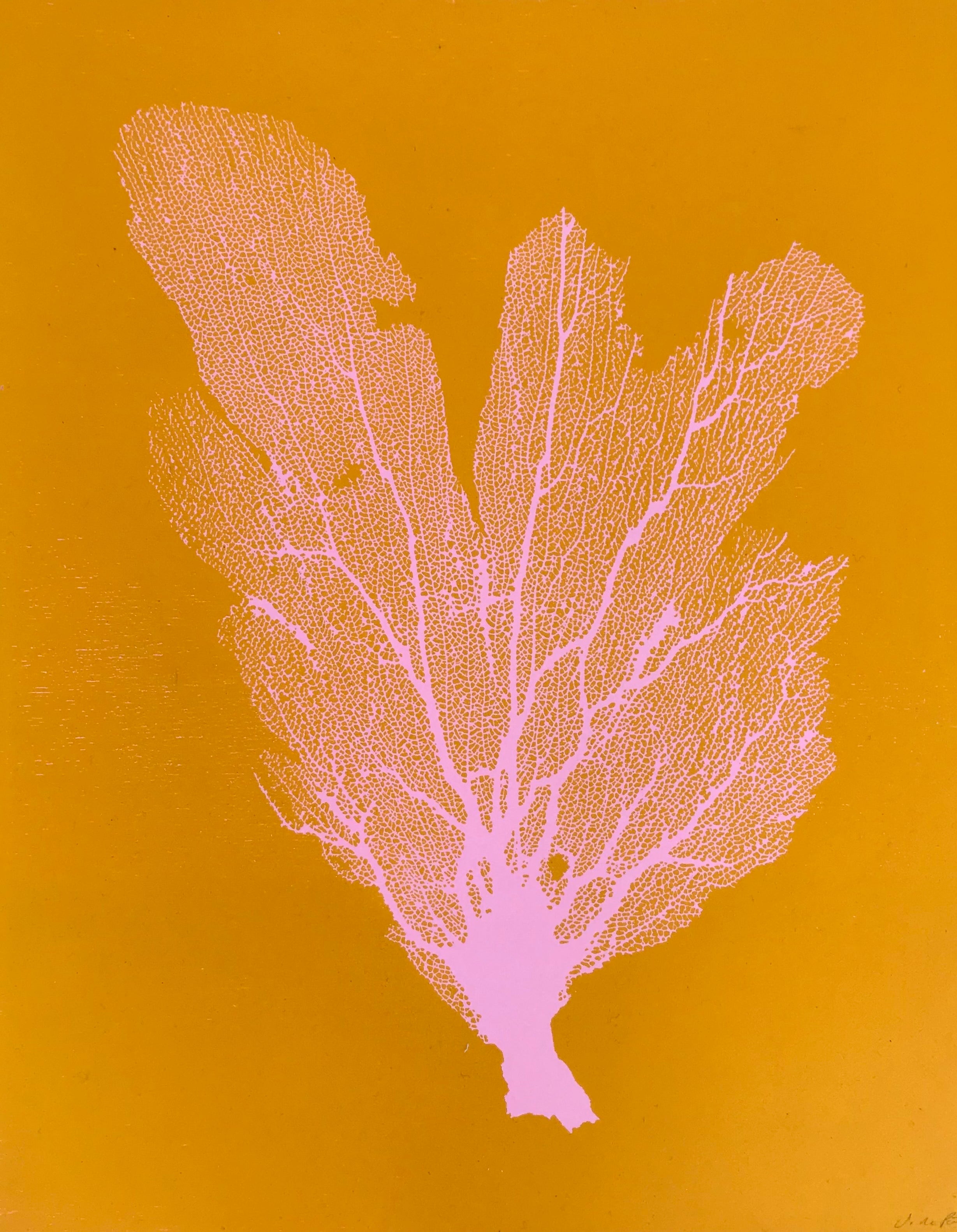 Sea Fan Woodcut in Baby Pink/Yolk