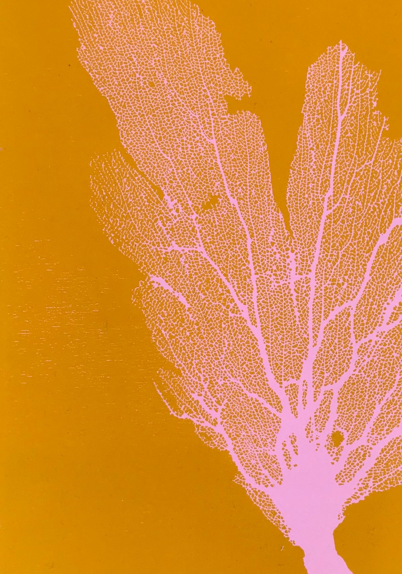 Sea Fan Woodcut in Baby Pink/Yolk