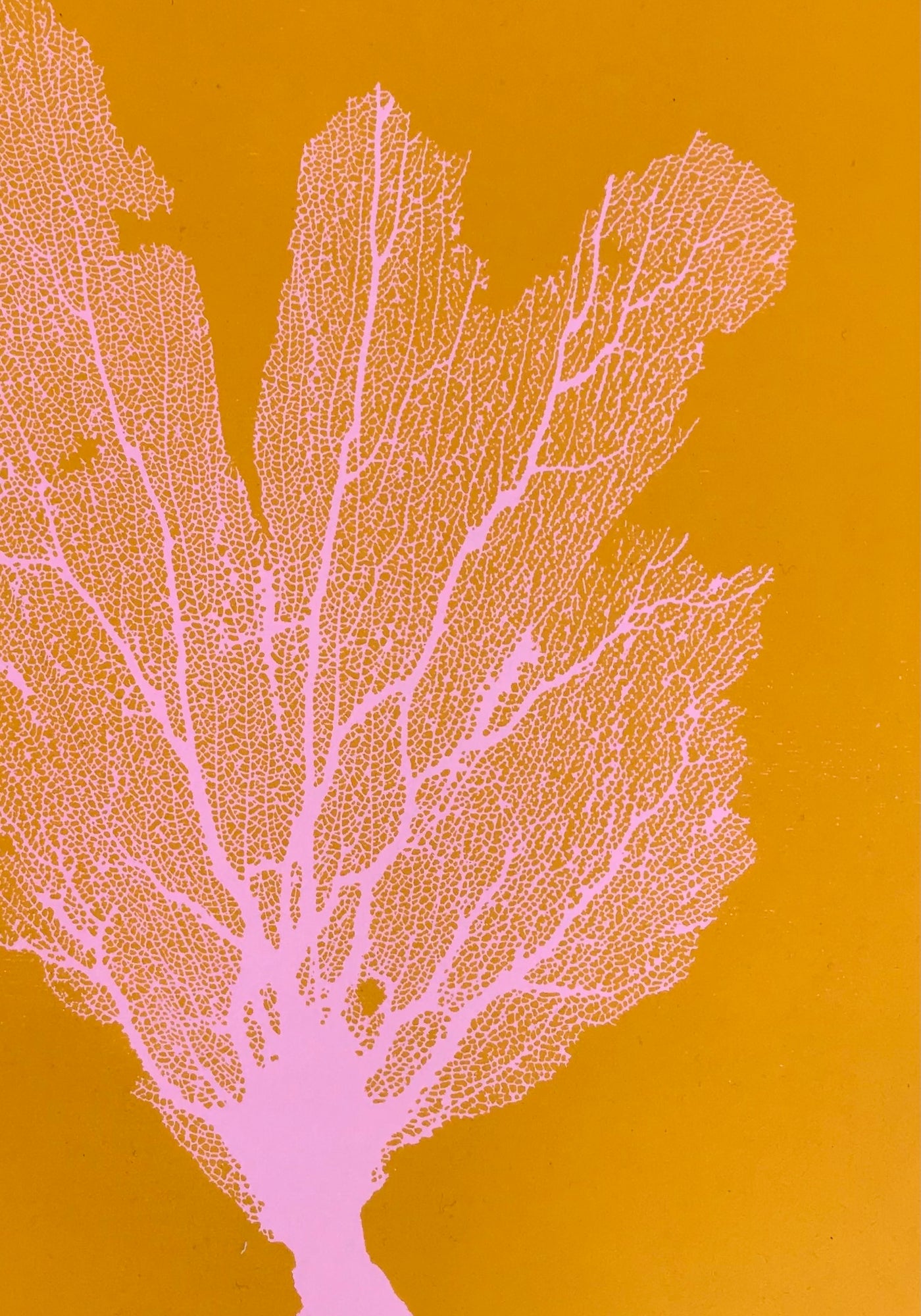 Sea Fan Woodcut in Baby Pink/Yolk