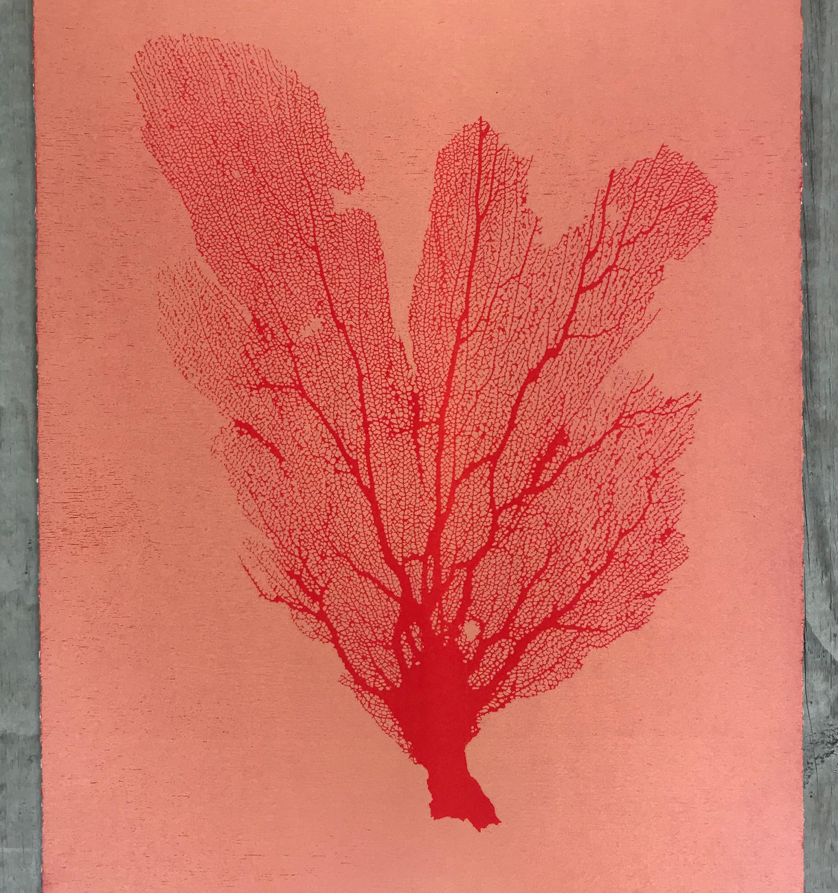 Sea Fan Woodcut in Cherry Red/Salmon