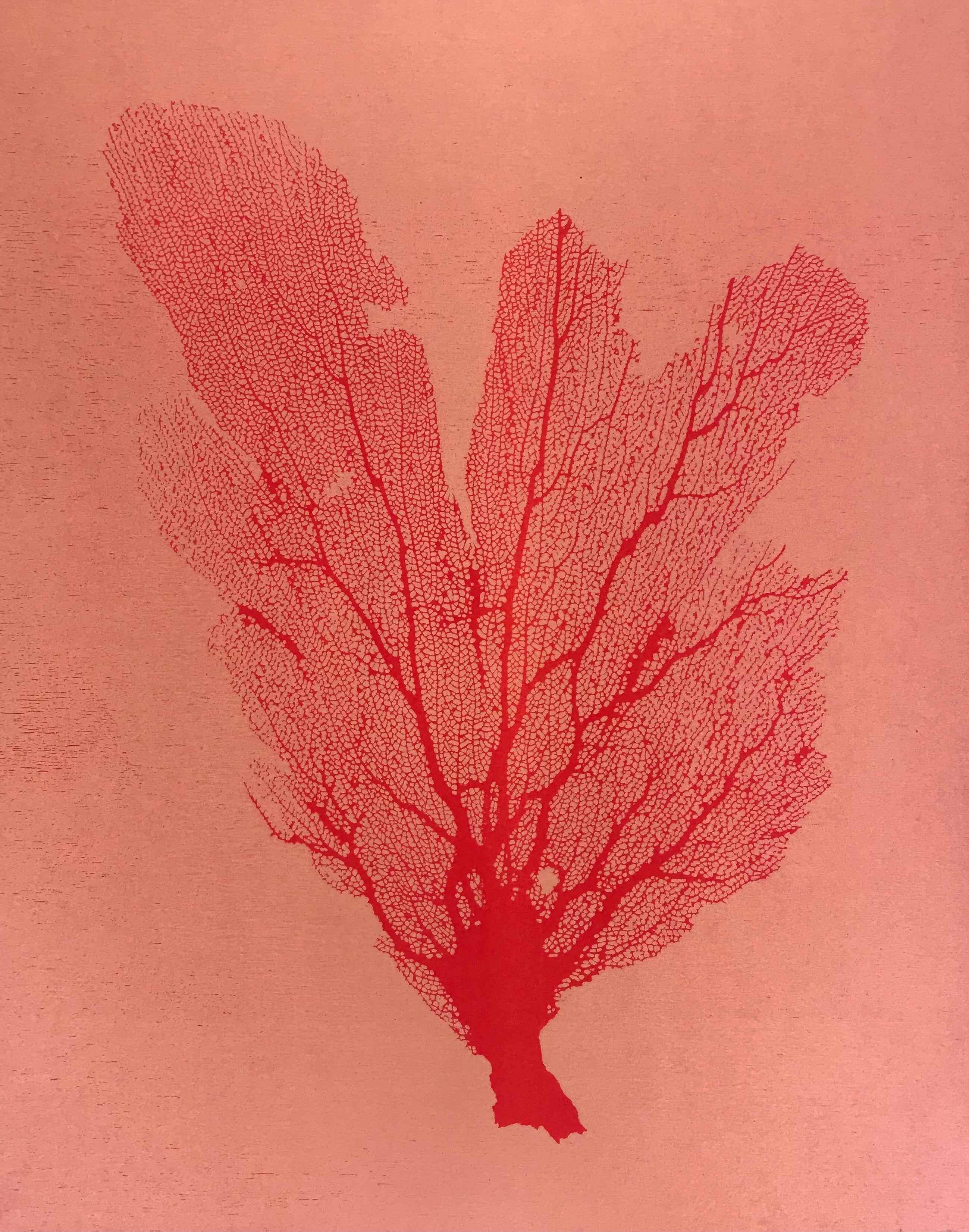 Sea Fan Woodcut in Cherry Red/Salmon