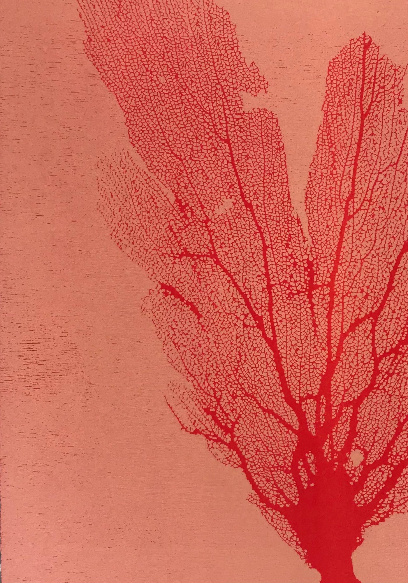 Sea Fan Woodcut in Cherry Red/Salmon