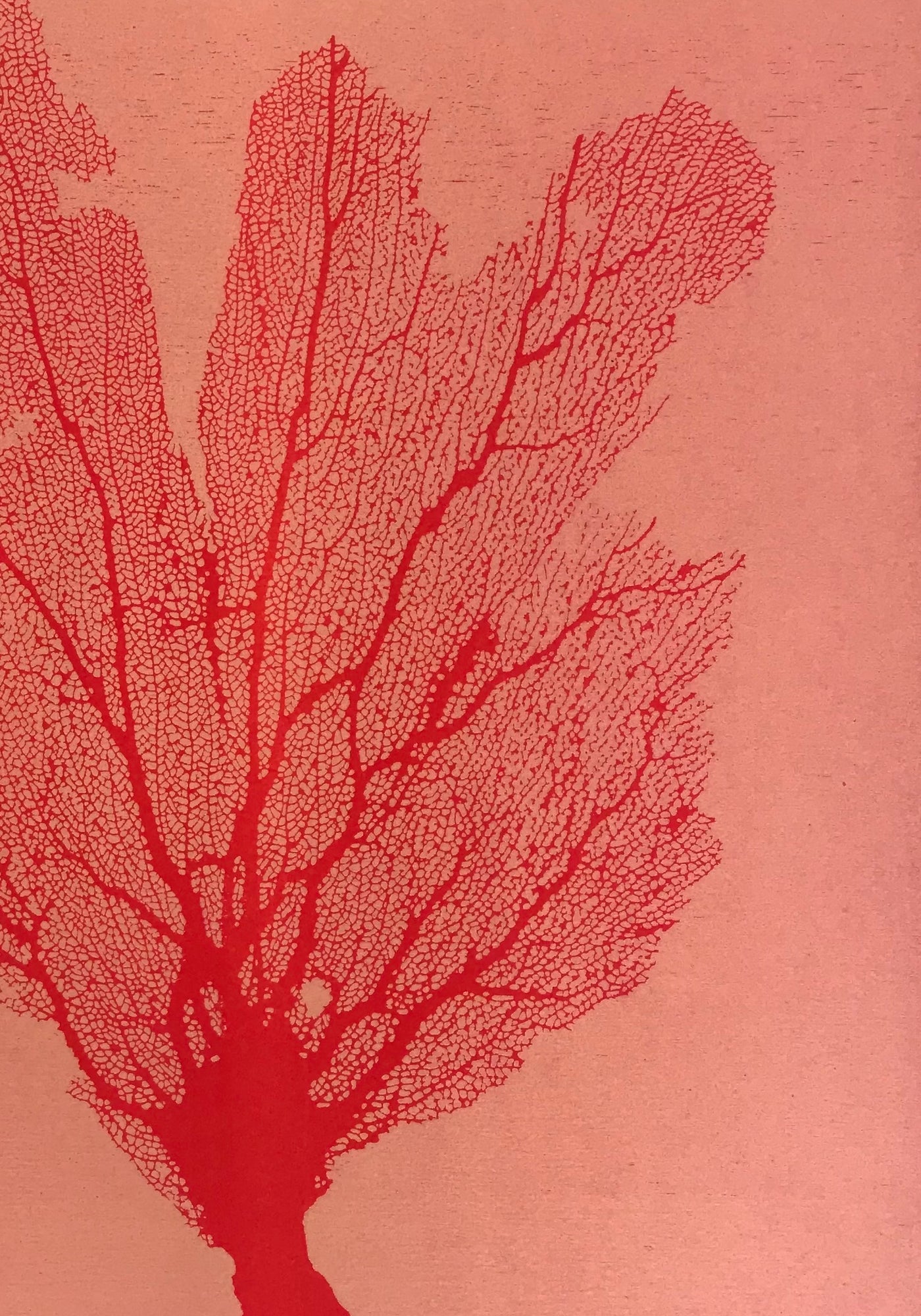 Sea Fan Woodcut in Cherry Red/Salmon