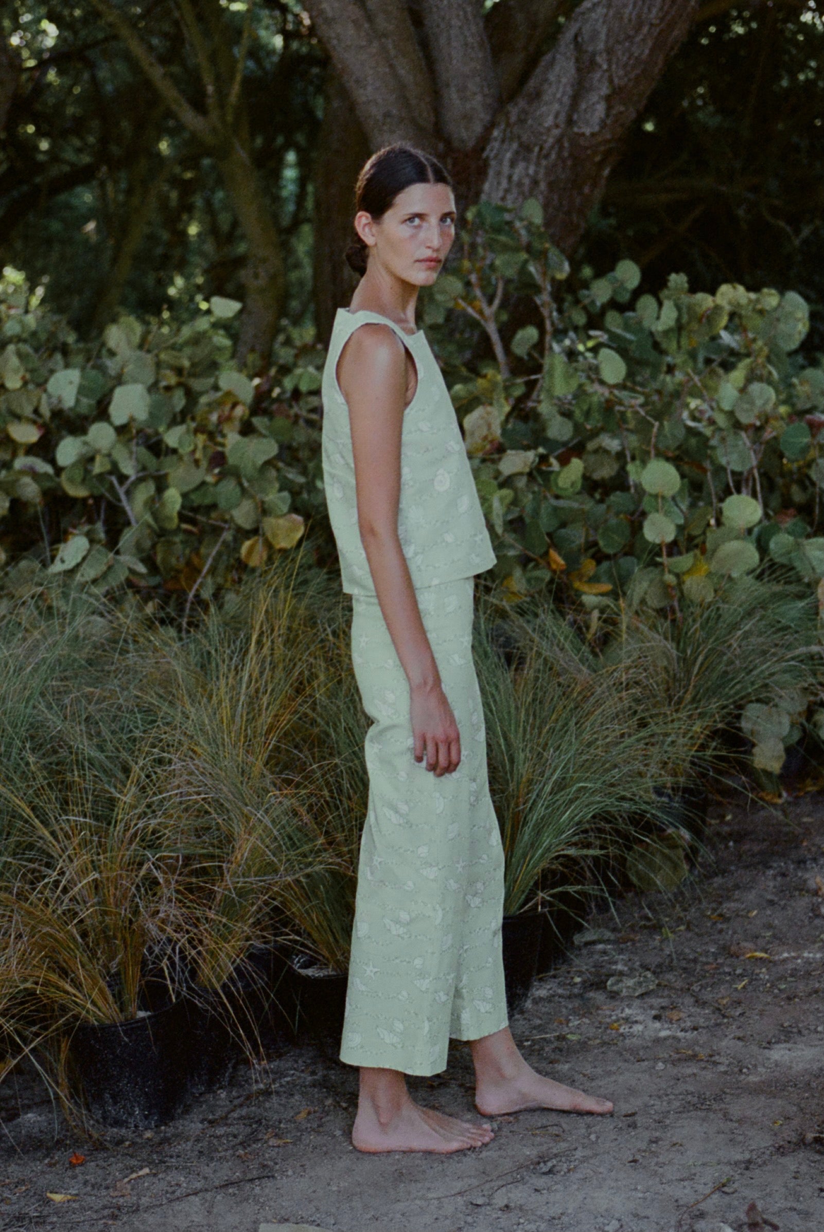 High-Waisted, Wide-Leg Pants in Lime Shell