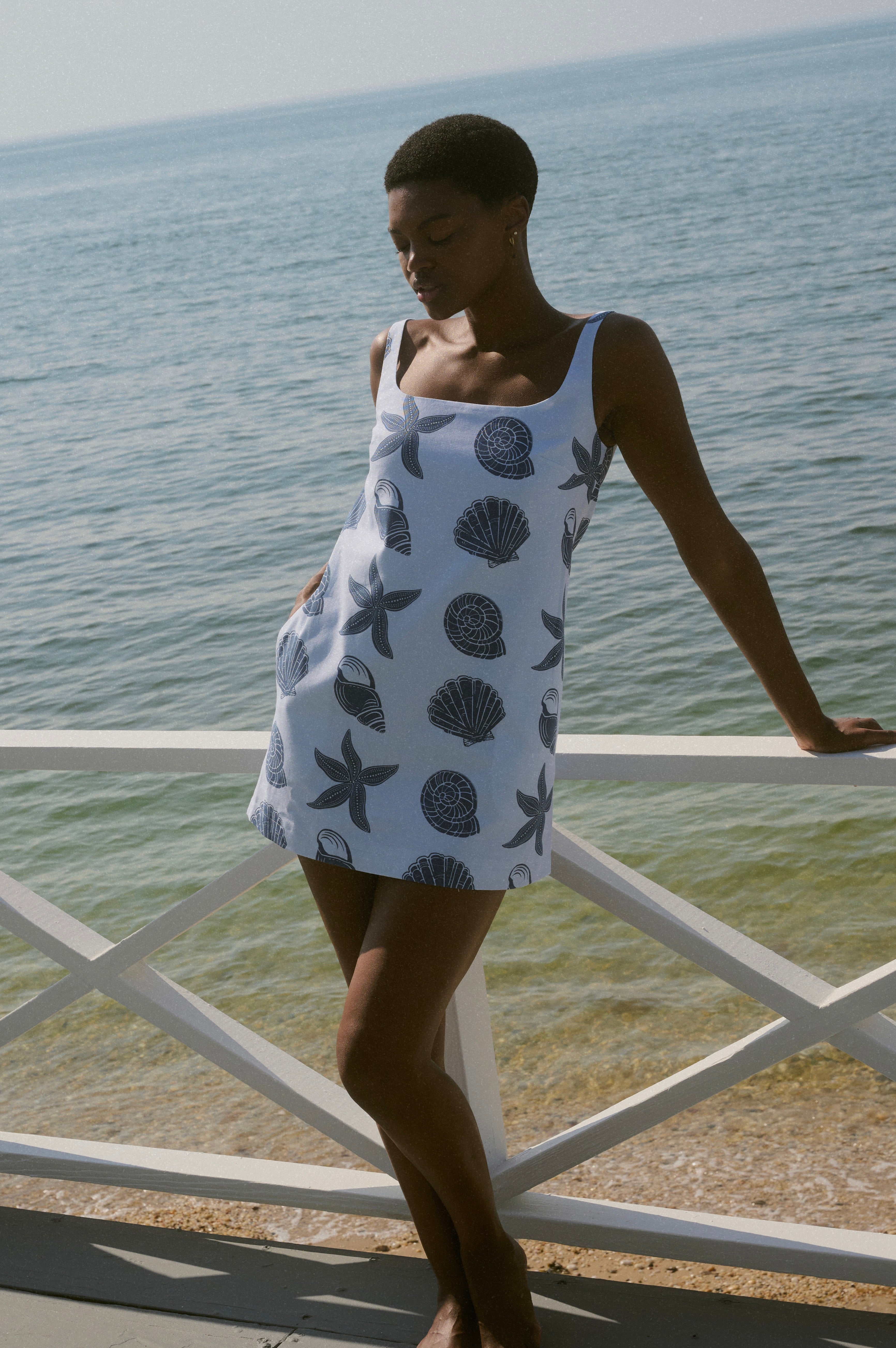 Cappie Mini Dress in Blue Large Shell