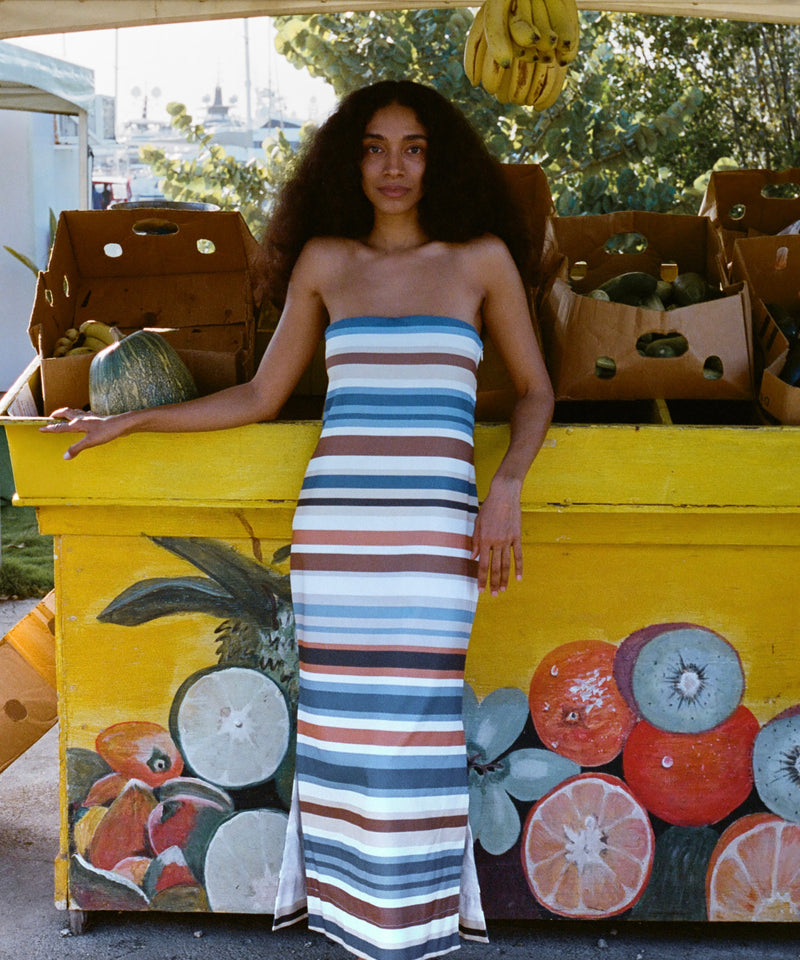 PREORDER: Strapless A-Line Dress in Cool Stripe